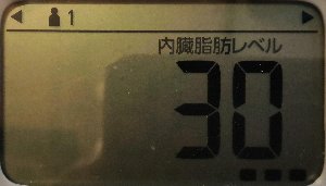 内臓脂肪レベル