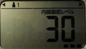 内臓脂肪レベル