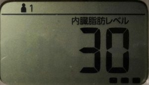 内臓脂肪レベル