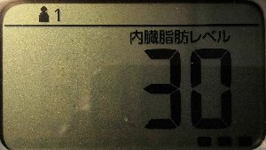 内臓脂肪レベル