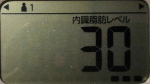 内臓脂肪レベル