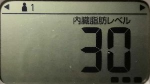 内臓脂肪レベル