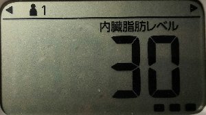 内臓脂肪レベル