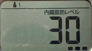 内臓脂肪レベル