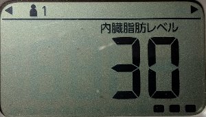 内臓脂肪レベル