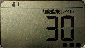 内臓脂肪レベル