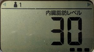 内臓脂肪レベル