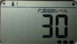 内臓脂肪レベル