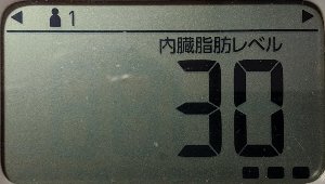 内臓脂肪レベル