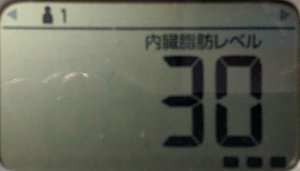 内臓脂肪レベル