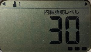 内臓脂肪レベル