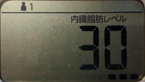 内臓脂肪レベル
