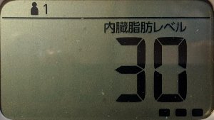 内臓脂肪レベル