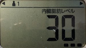 内臓脂肪レベル