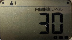 内臓脂肪レベル