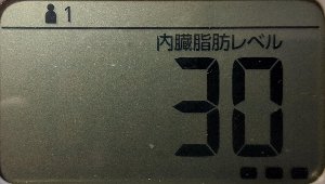 内臓脂肪レベル