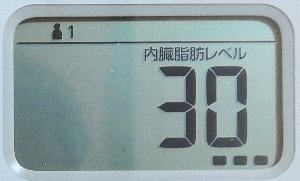 内臓脂肪レベル