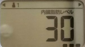 内臓脂肪レベル