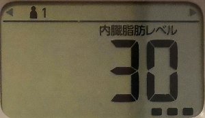 内臓脂肪レベル