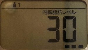 内臓脂肪レベル
