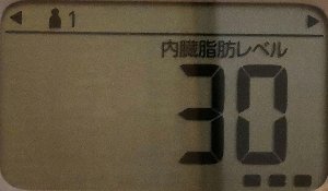 内臓脂肪レベル