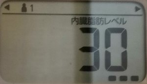 内臓脂肪レベル