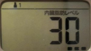内臓脂肪レベル