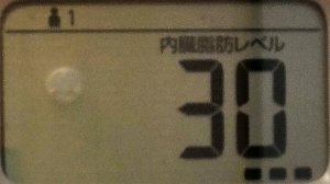 内臓脂肪レベル