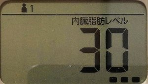 内臓脂肪レベル