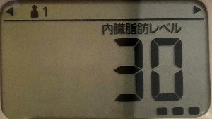 内臓脂肪レベル