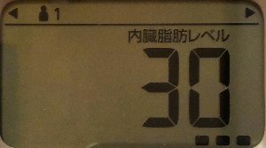 内臓脂肪レベル