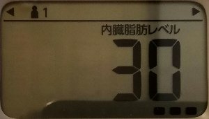 内臓脂肪レベル