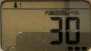 内臓脂肪レベル