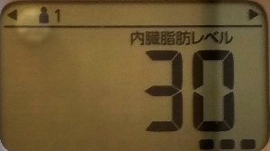 内臓脂肪レベル