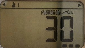 内臓脂肪レベル