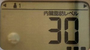 内臓脂肪レベル