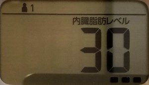 内臓脂肪レベル