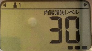 内臓脂肪レベル