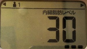 内臓脂肪レベル