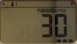 内臓脂肪レベル