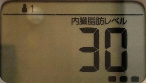 内臓脂肪レベル