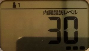 内臓脂肪レベル