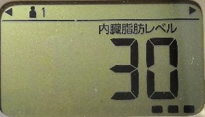 内臓脂肪レベル