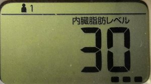 内臓脂肪レベル
