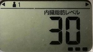 内臓脂肪レベル